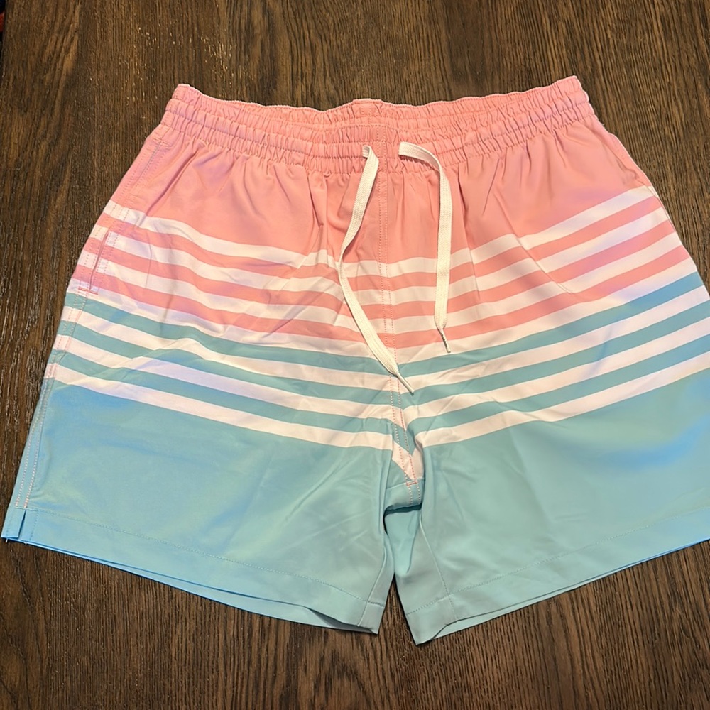 Men’s Chubbies Classic Swim Trunk